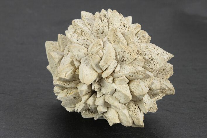 Stellate Glendonite (Calcite Pseudomorph) Cluster - Russia #247216